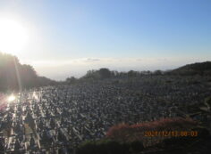 11区1番墓所から（南）風景