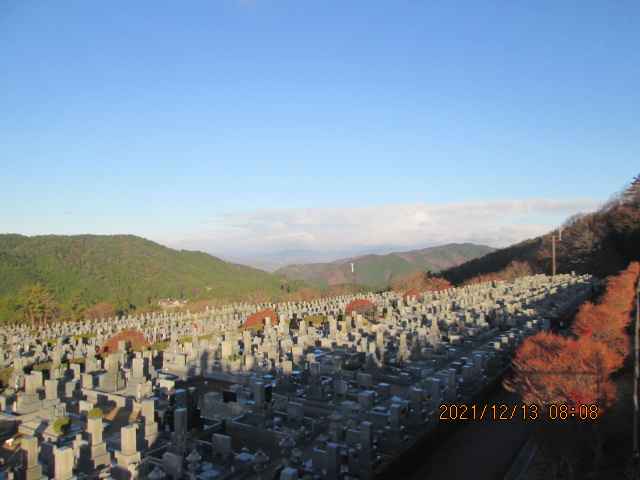 11区7番墓所から（北向き）風景