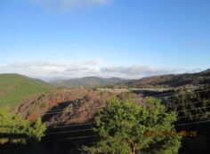 8区4/5番枝道から（北方向）風景