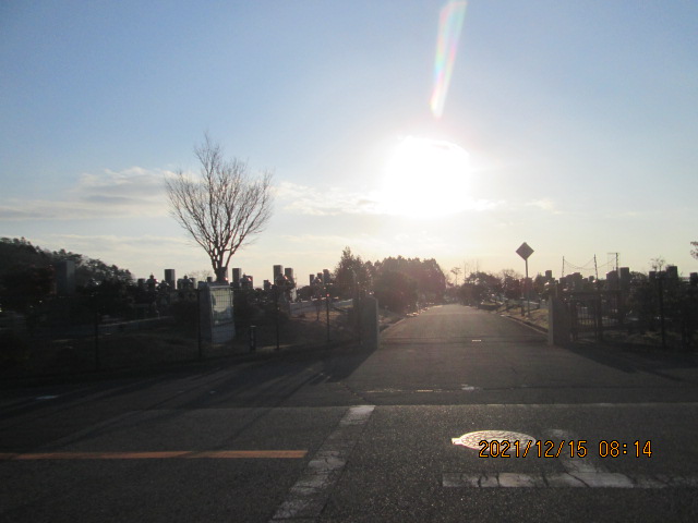 バス通り（東向き）1区4/6番墓所