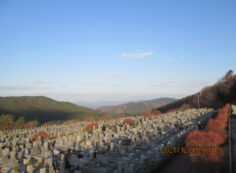 11区7番墓所から（北向き）風景