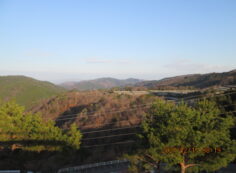 8区4/5番枝道から（北向き）風景