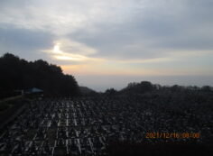 11区1番墓所から園内（東南方向）