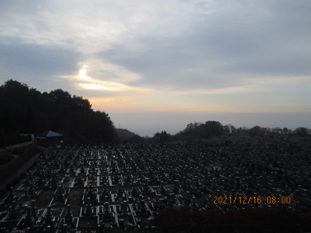 11区1番墓所から園内（東南方向）