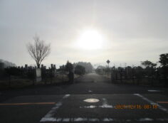 バス通り（東向き）1区4/6番入口墓所