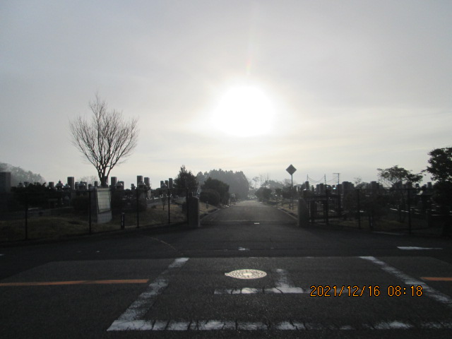 バス通り（東向き）1区4/6番入口墓所