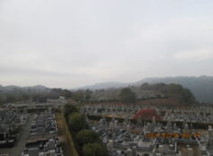 11区7番墓所から（南西方向）