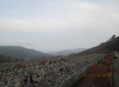 11区7番墓所から（北向方向）