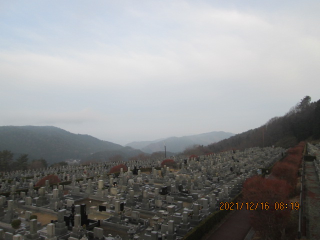 11区7番墓所から（北向方向）