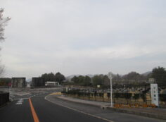 バス通り・モニュメント方向