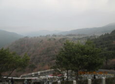 8区4/5番枝道から（北方向）