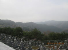 8区4/5番枝道から（南西方向）