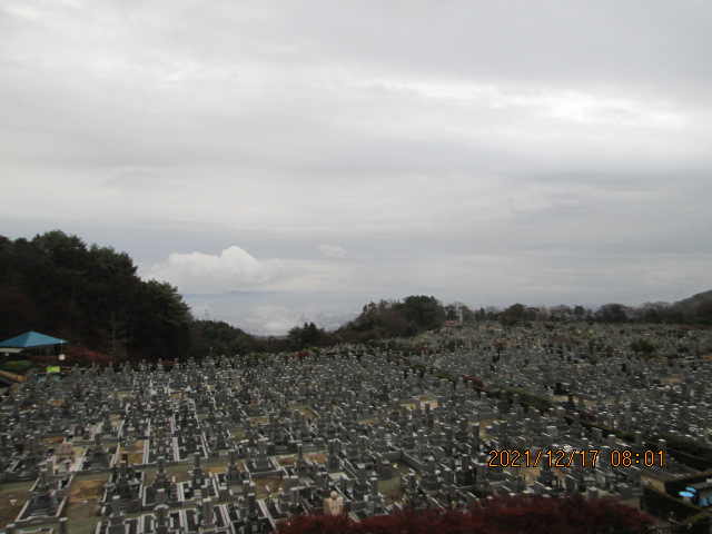 11区1番芝墓所から（南方向）