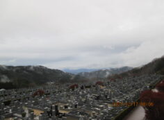 11区7番墓所から（北方向）