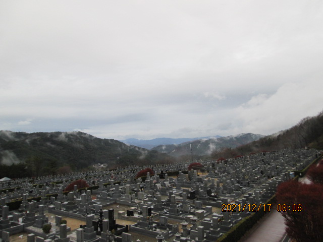 11区7番墓所から（北方向）