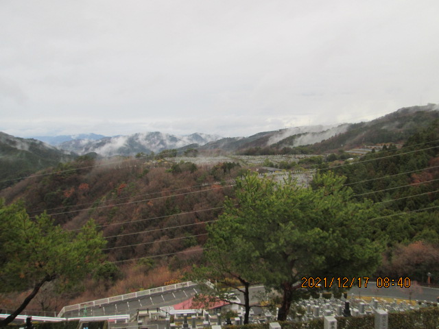 8区4/5番墓所枝道から（北方向）