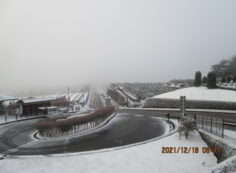 霊園北口からの園内風景　気温－3度