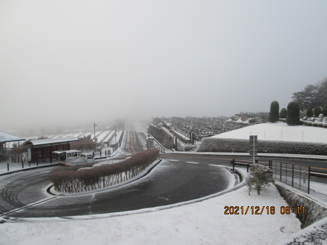 霊園北口からの園内風景　気温－3度