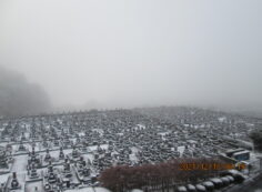 11区1番墓所から（南方向）