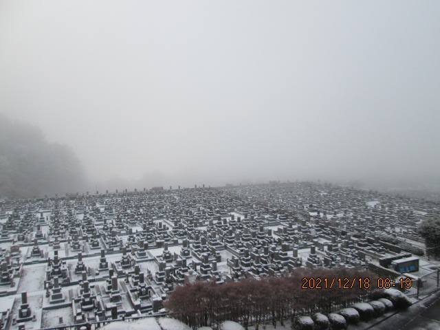 11区1番墓所から（南方向）