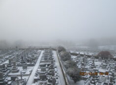 11区7番墓所から（南西方向）