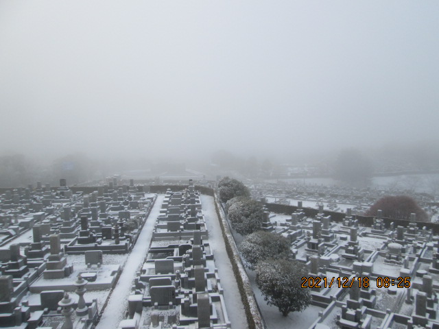 11区7番墓所から（南西方向）