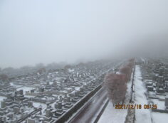 11区7番墓所から（北方向）