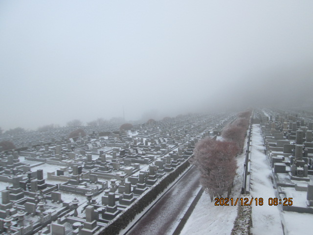 11区7番墓所から（北方向）