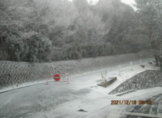 バス通り8/7区上段枝道入口