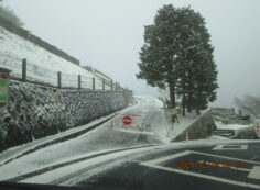 バス通り8/7区中段枝道入口