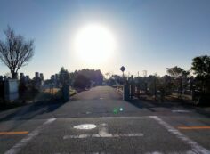 バス通り’（東向き）1区4/6番墓所入口