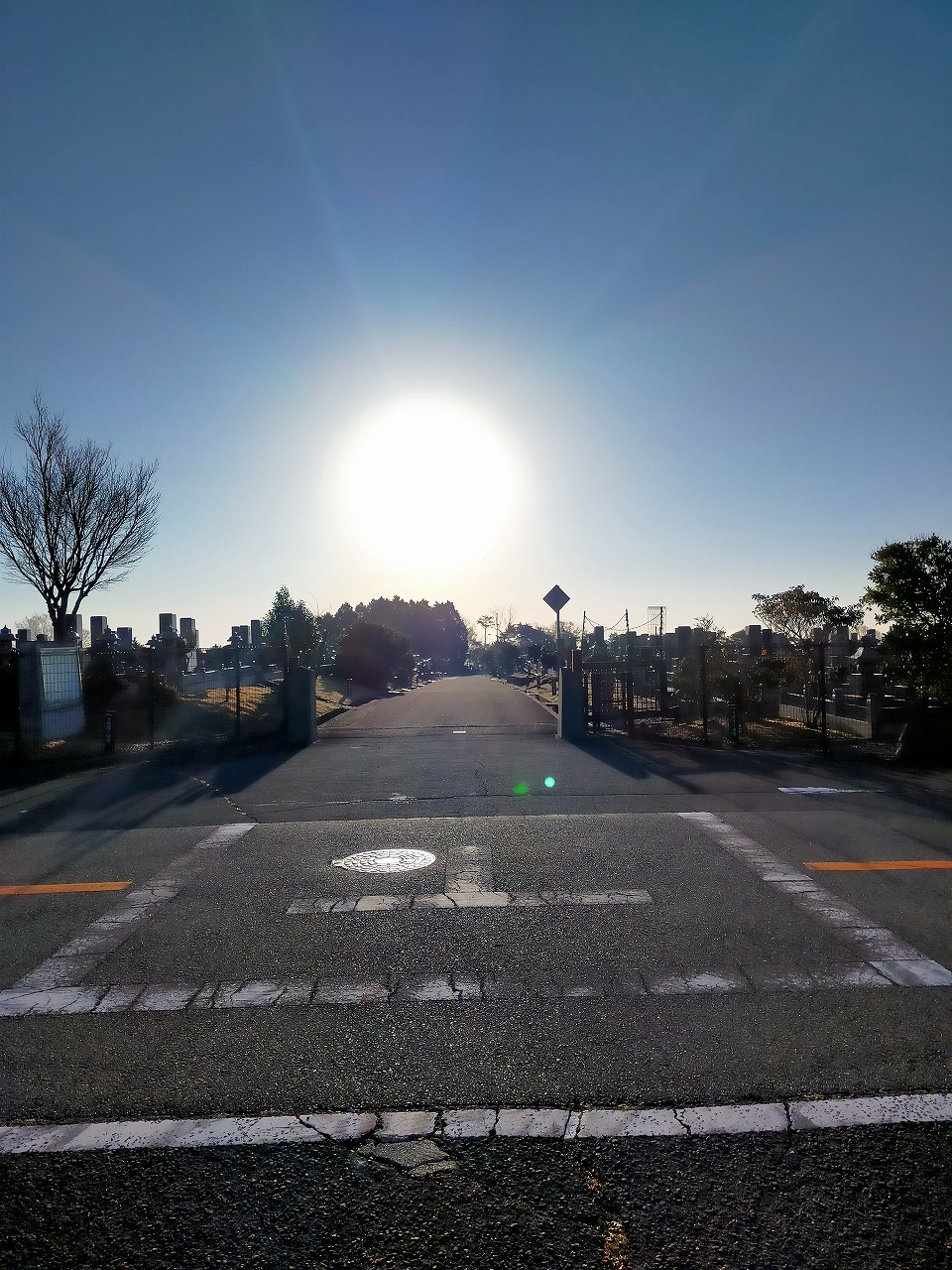 バス通り’（東向き）1区4/6番墓所入口