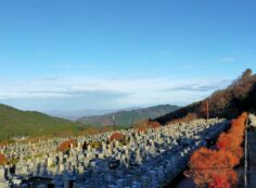 11区7番墓所から（北方向）