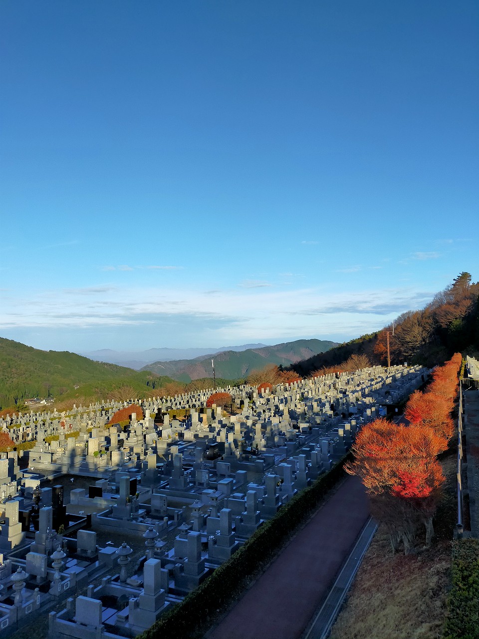 11区7番墓所から（北方向）