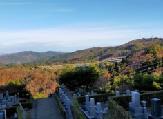 8区5番枝あずま家から（北方向）