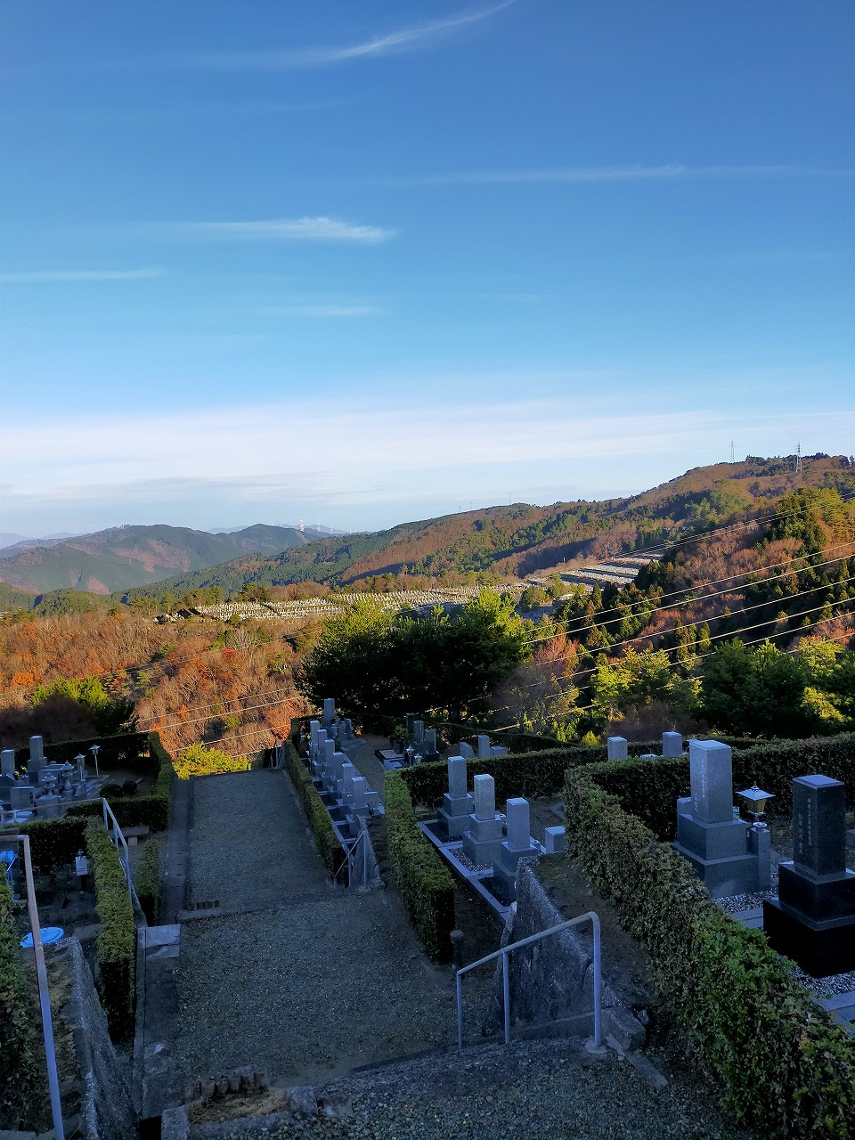 8区5番枝あずま家から（北方向）