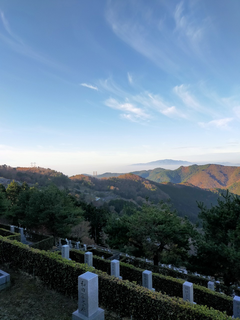 8区5番枝あずま家から（南西方向）