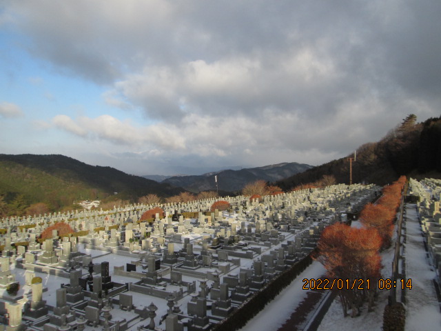 11区7番墓所から（北向き）風景