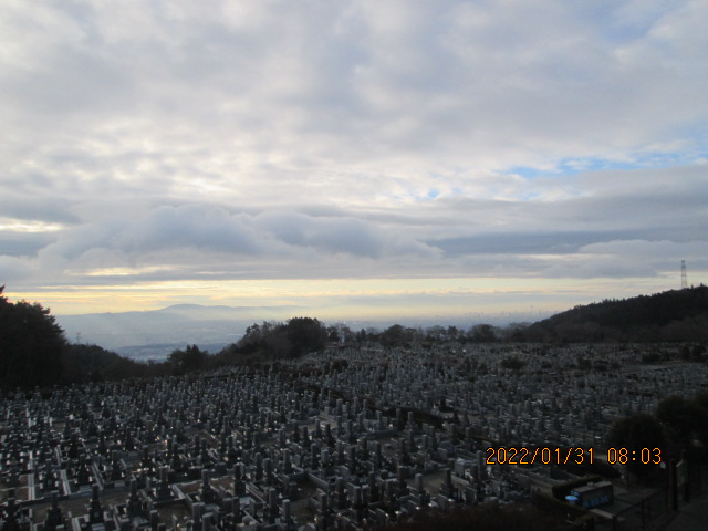 11区1番墓所から（南方向）風景