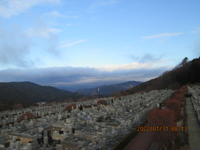 11区7番墓所から（北方向）風景