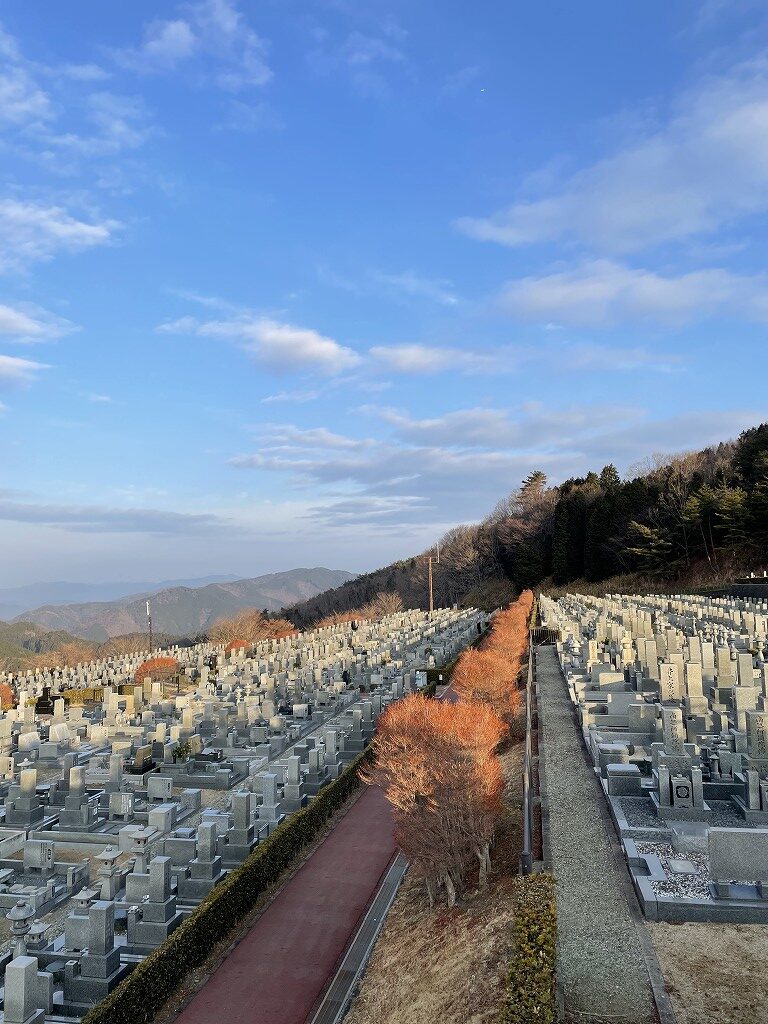 11区7番墓所から（北向き）風景