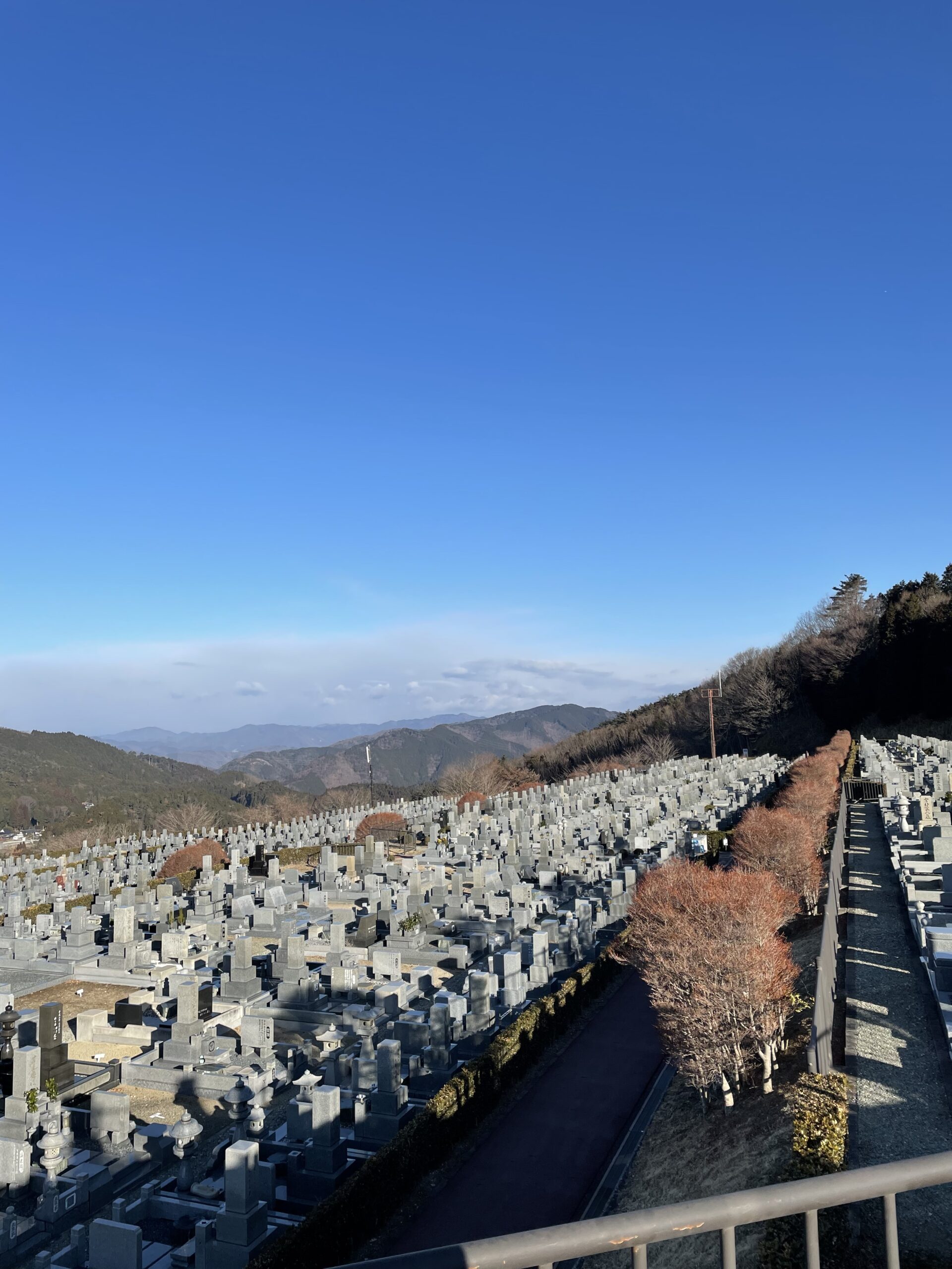 11区7番墓所から（北方向）風景