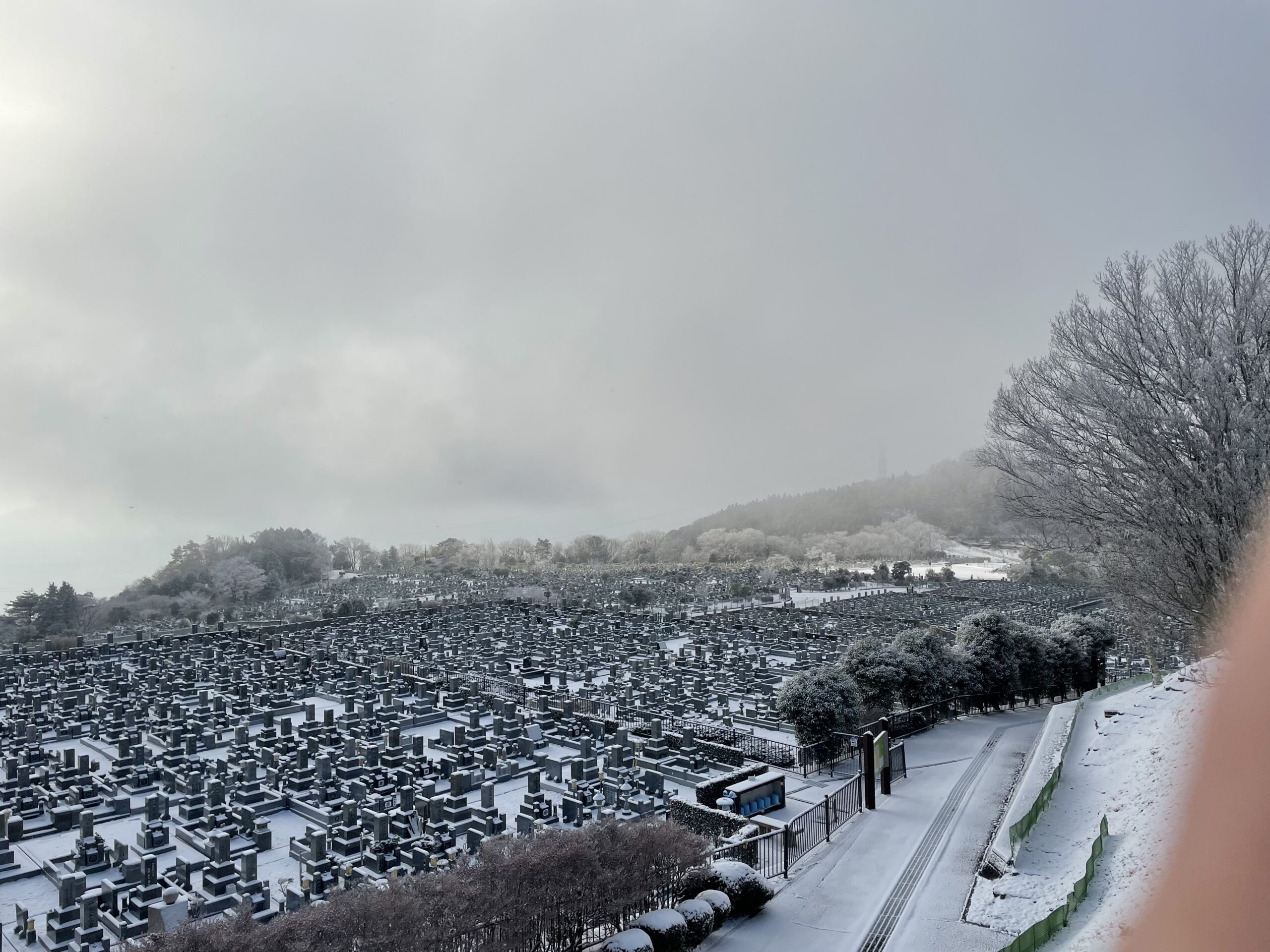 11区1番墓所から（南向き）風景