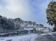 8区7番墓所から階段墓域（積雪）