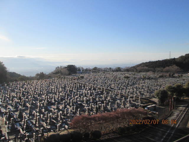 11区1番墓所から園内（南方向）