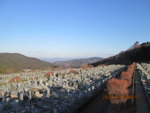 11区7番墓所から（北向き）風景