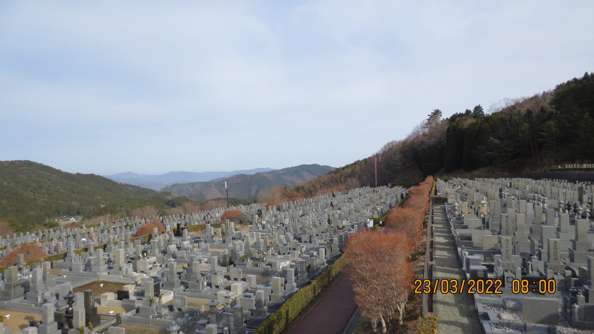 11区7番墓所から（北向き）風景