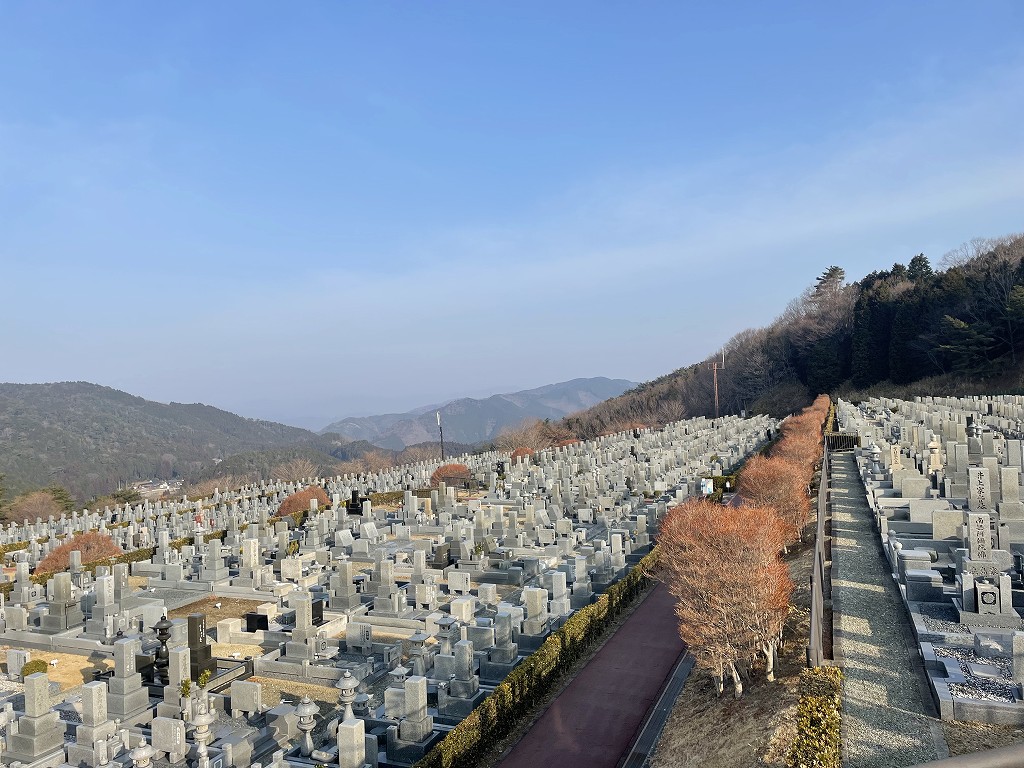 11区7番墓所から（北向き）風景