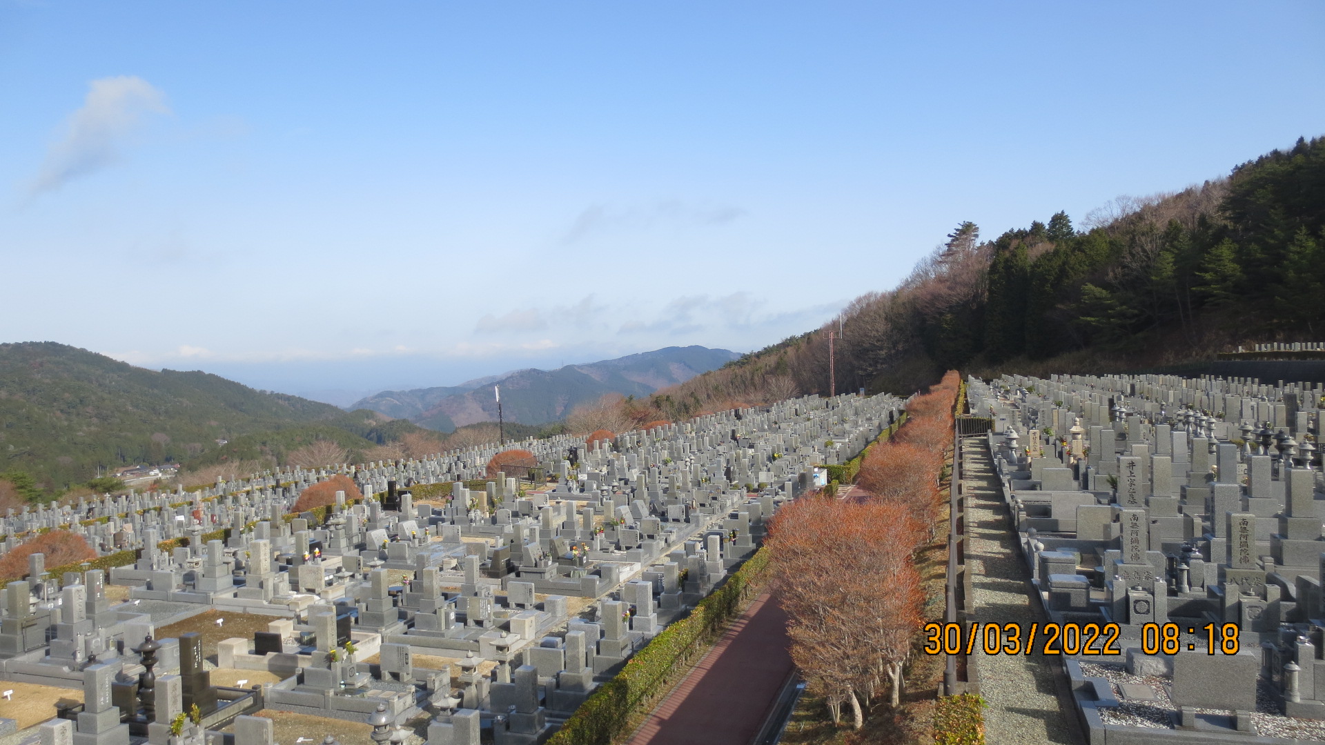 11区7番墓所から園内（北）風景