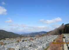 11区7番墓所から園内（北）風景